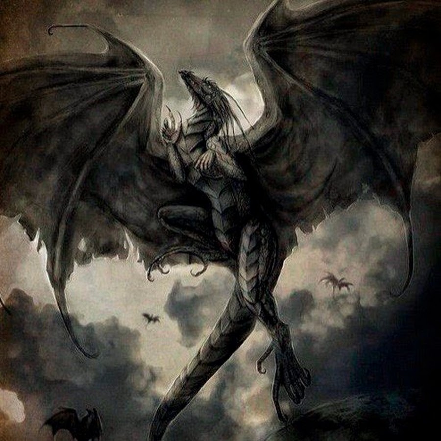 Bi dragon. Черный дракон. Теневой дракон. Дракон тьмы. Дракон мрачный.