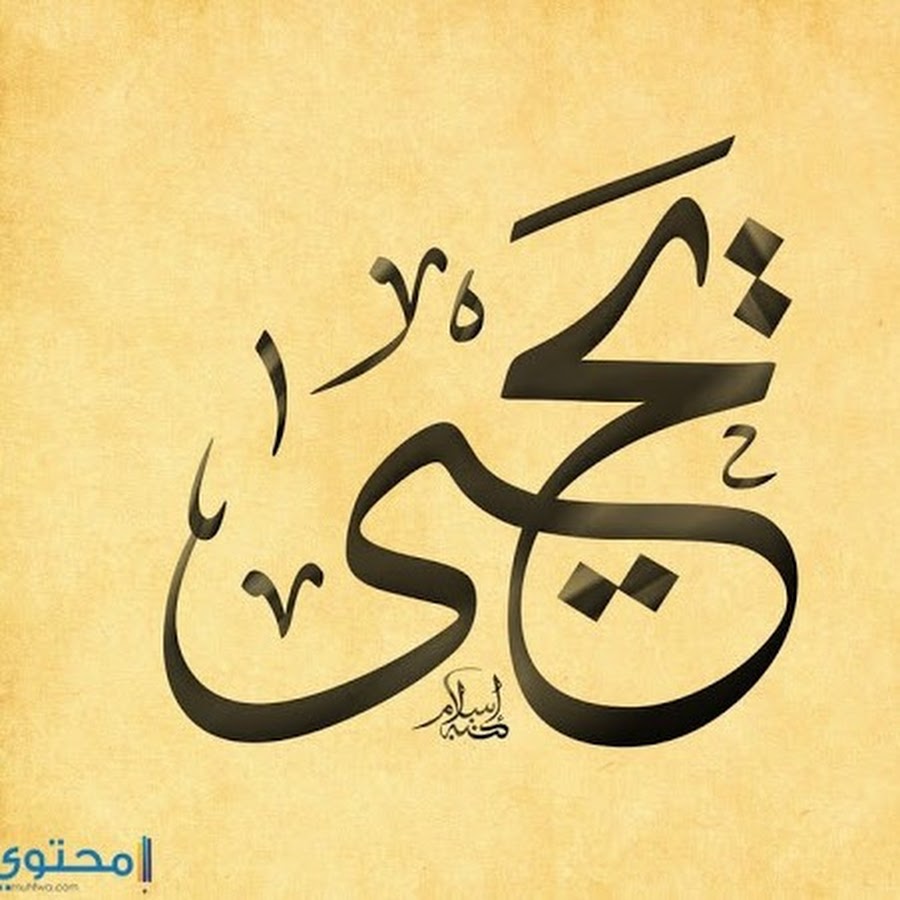 логотип яхья.