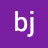 bj Goo
