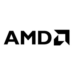 AMD net worth