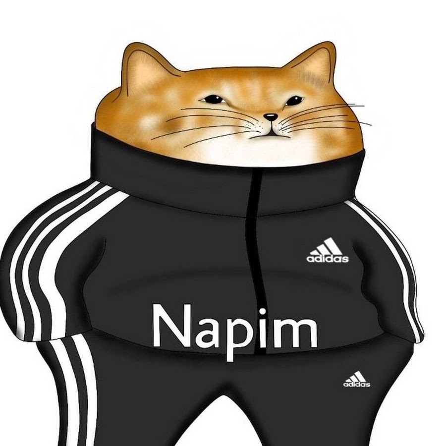 Собака в спортивном костюме мем
