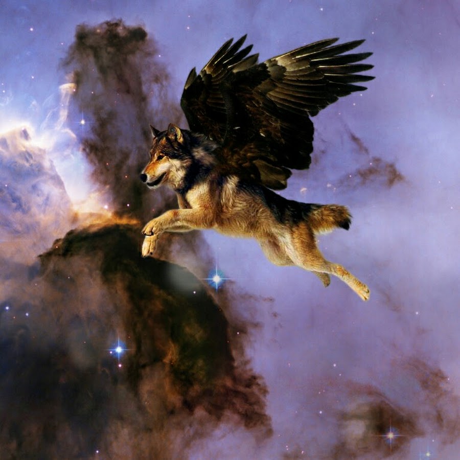 Бывает крылатым. Симуран крылатый волк. Крылатый волк Семаргл. Симуран Славянская мифология. Семаргл волк с крыльями.