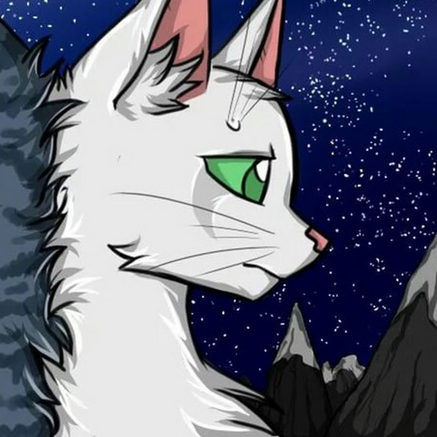 Картинки коты воители бабочка