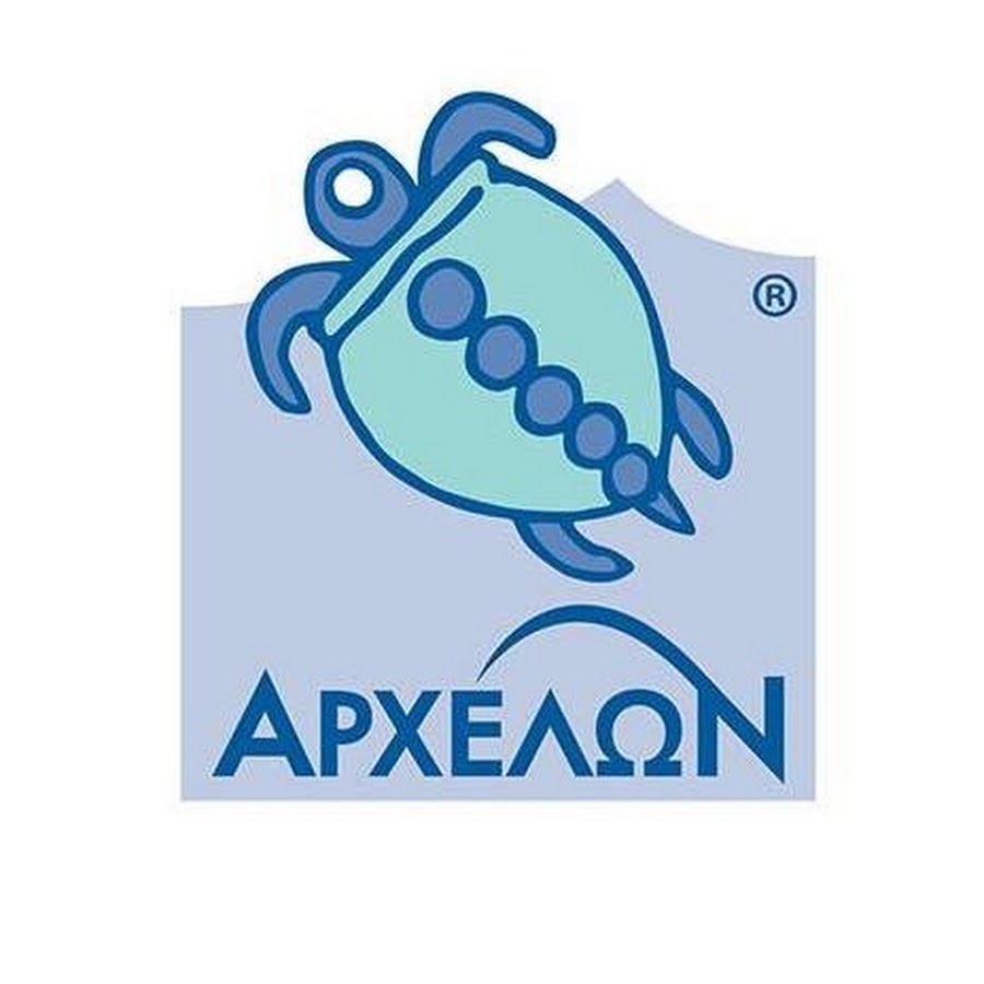Archelon The Sea Turtle Protection Society Youtube