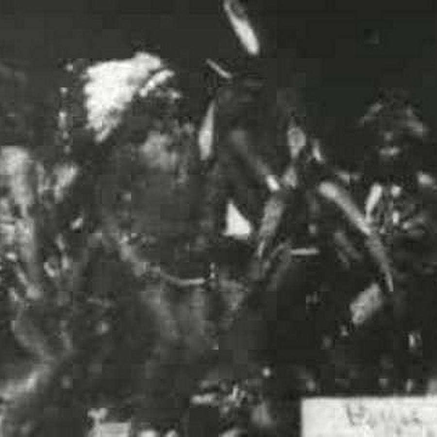 Дух племени. Танцы призраки войны. Addrisi brothers Ghost Dancer. Ghost Dance Paiutes.