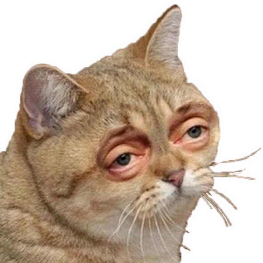 64win Sticker #16195 Felix