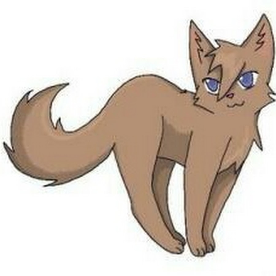 Коты Воители Верескоглазка