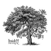Isaiah 53 Design