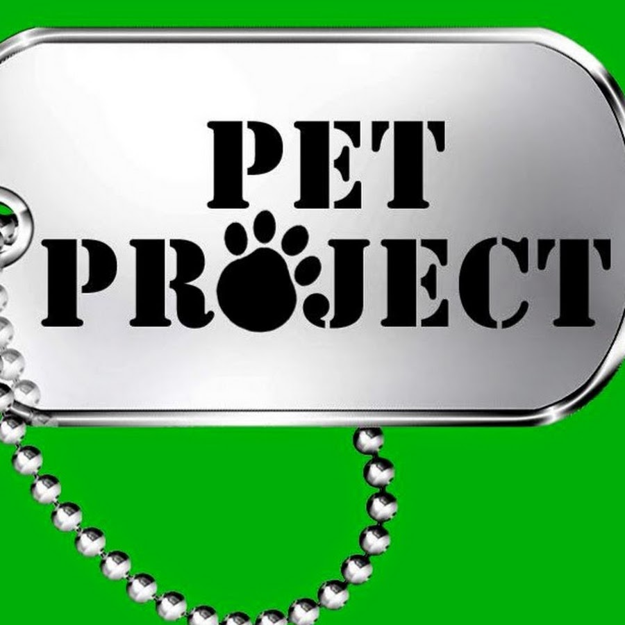 Pet проект. Проект my pet. Стикеры хакатон. Пэт проект что это. Pet project is.