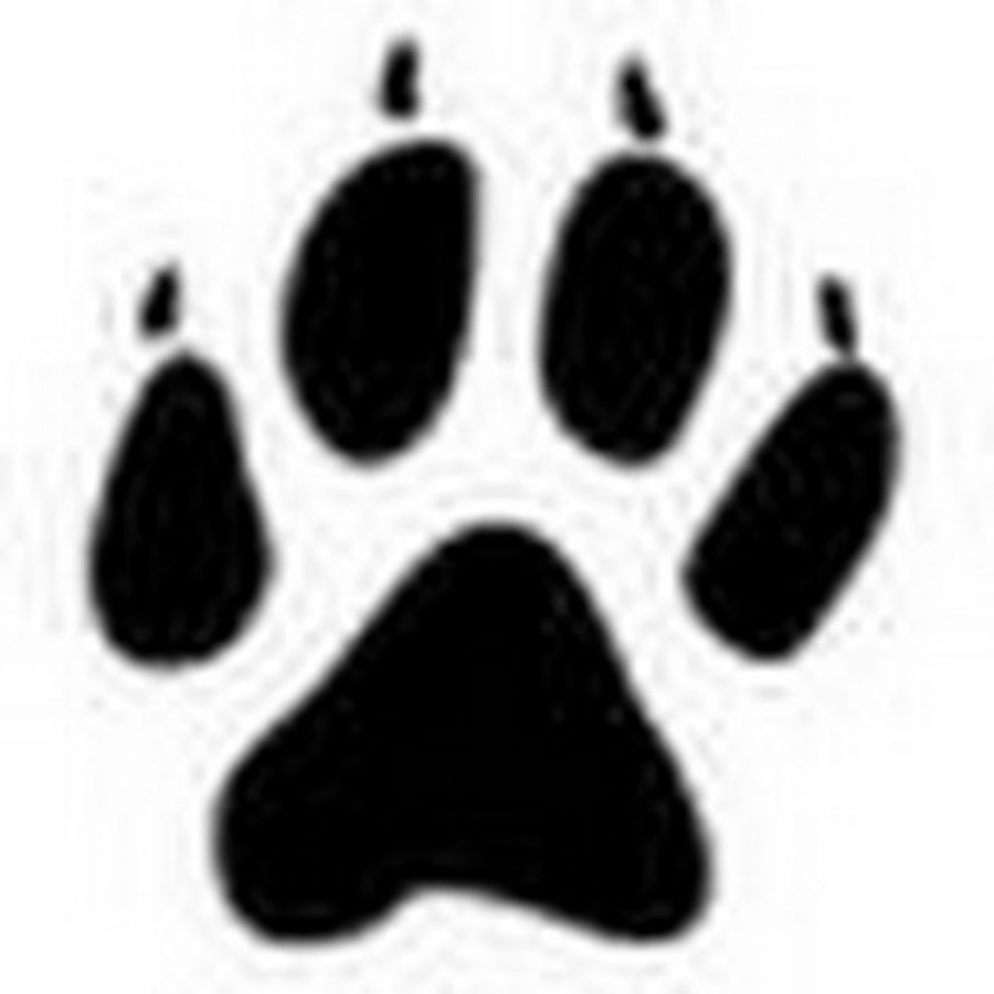 След тигра 2. Отпечаток лапы мыши. След животного. Лапа животного. Лапки животных следы