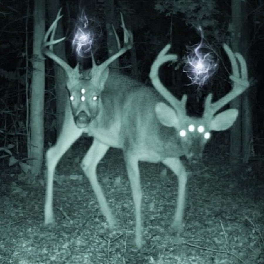 Картинка девушка с факом