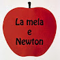 Cosa disse Newton quando cadde la mela?