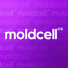 Moldcell net worth