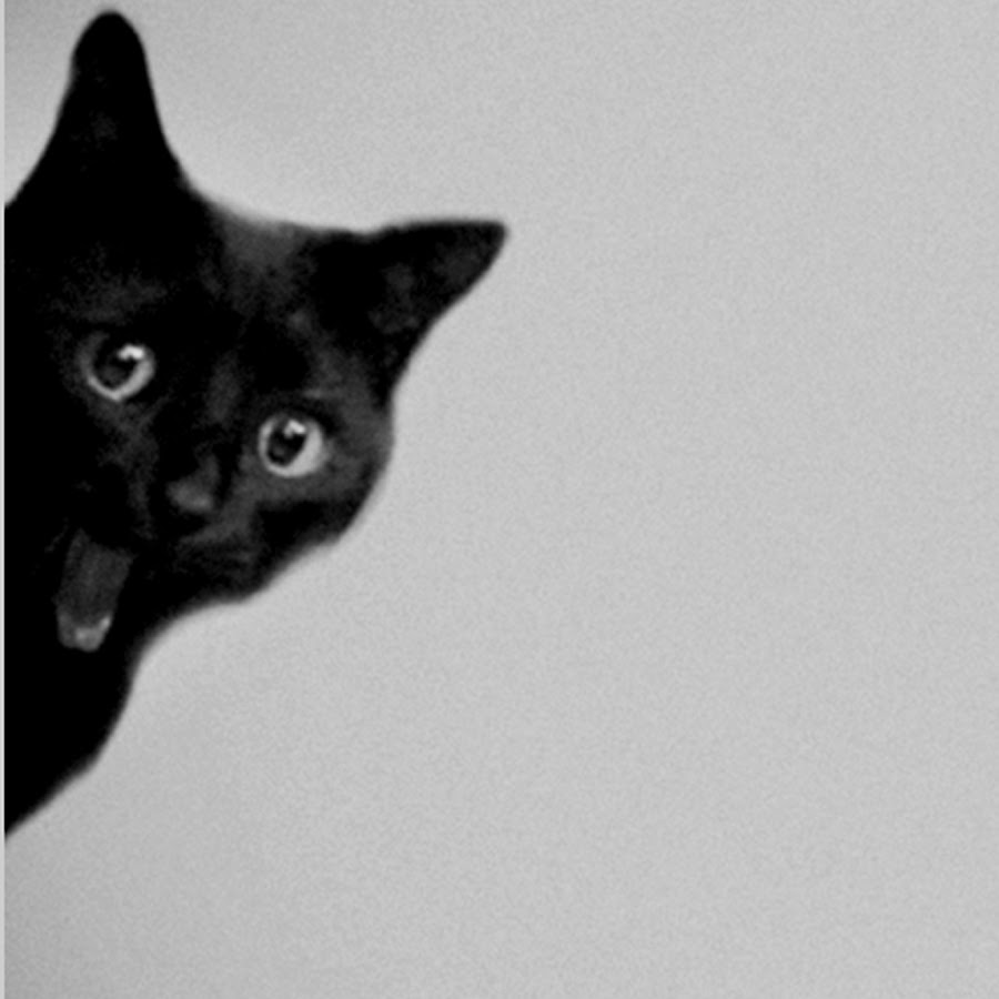 Картинка ты спишь что ли