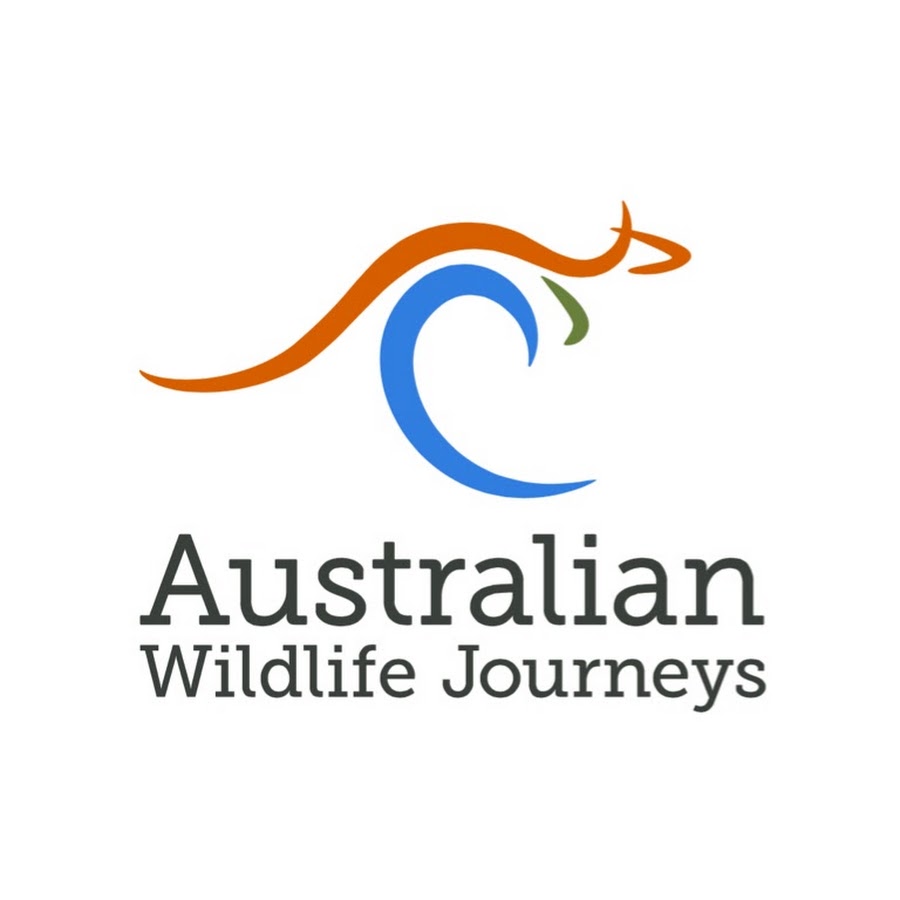Australian Wildlife Journeys YouTube