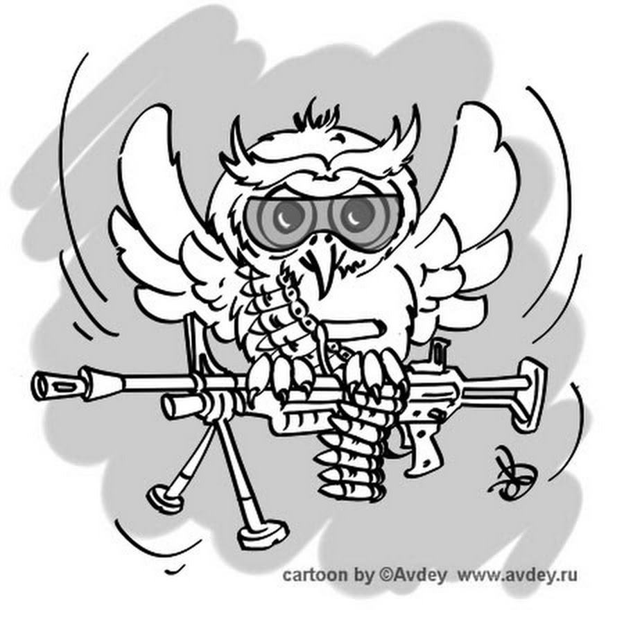 Сова бандит. Маска совы арт. Картина по номерам стимпанк сова. Клан совы. Злой филин.