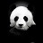 Domi Panda Avatar