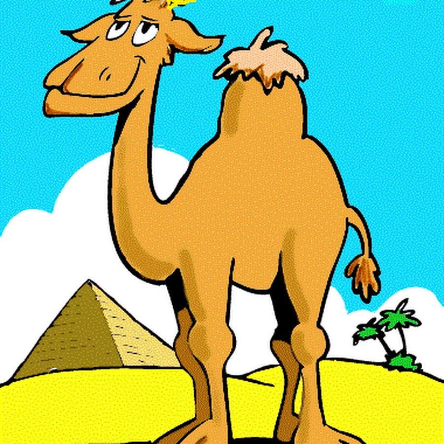 Верблюд рисунок цветной