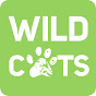 WildCats Conservation Alliance - @21stCenturyTiger YouTube Profile Photo