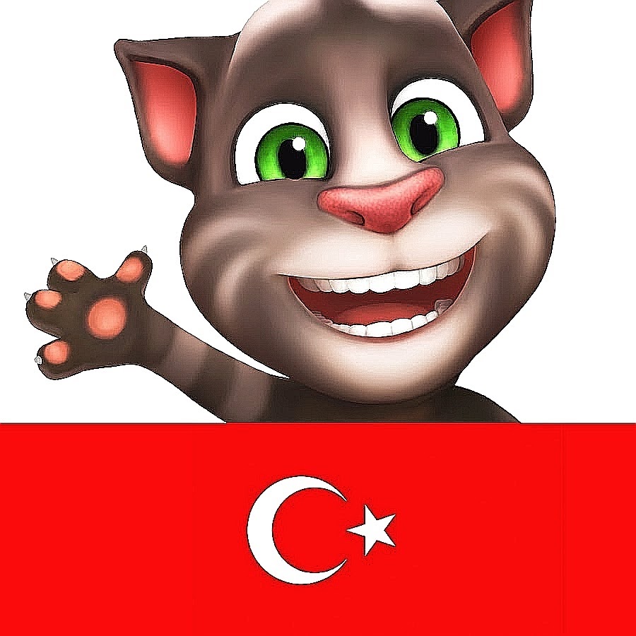 Кот том ютубе. Говорящий кот том. канал тома. turkey tom. том бен анджела джинджер и хэнк мем.