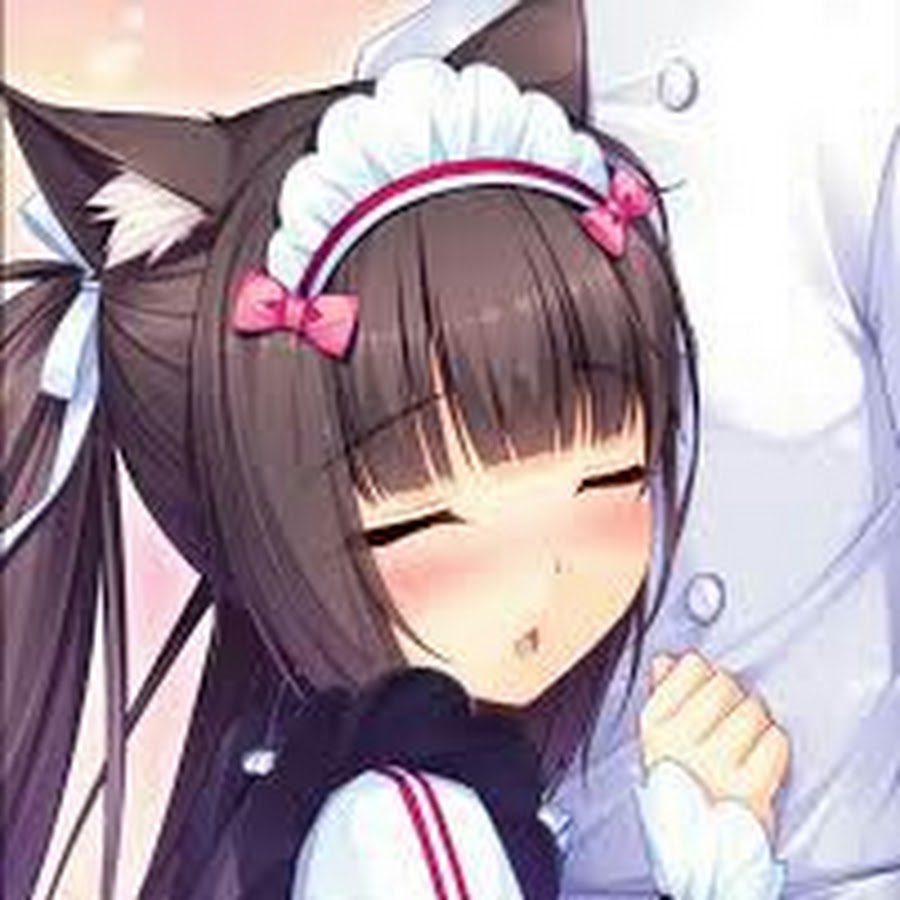 Cute Neko anime PFP