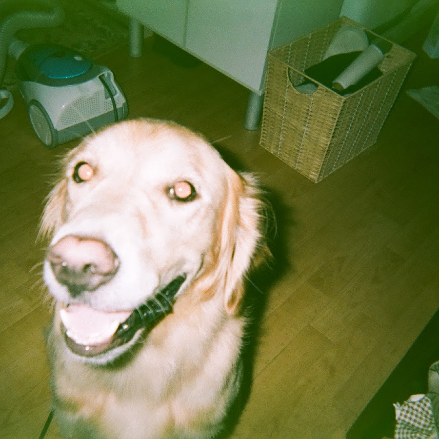 新日本現代映画 Youtube