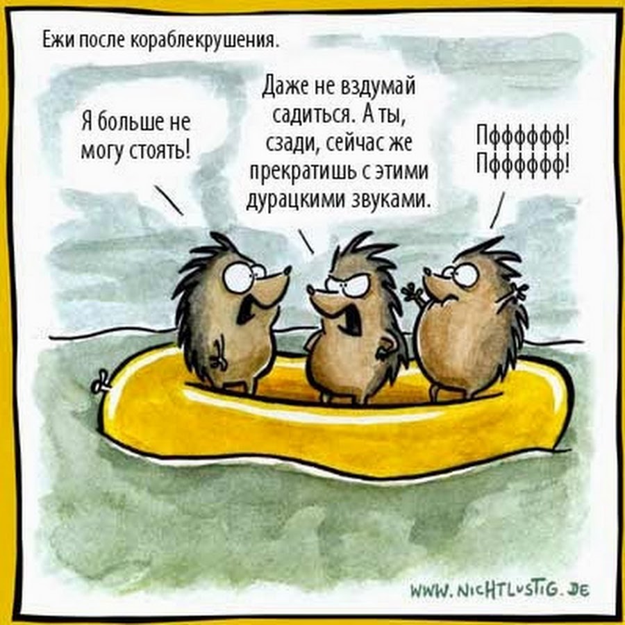 Еж прикол