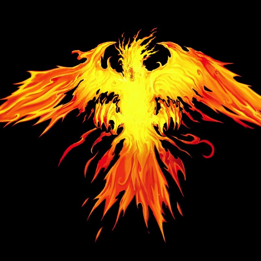 Птица феникс. Рарог и феникс. Fenix rising. Обои на рабочий стол феникс. Феникс картина.