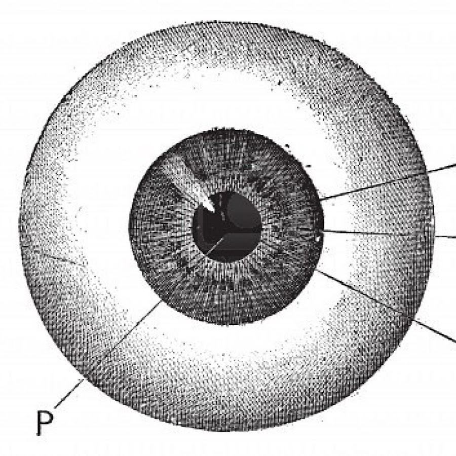 Глаз человека гравюра