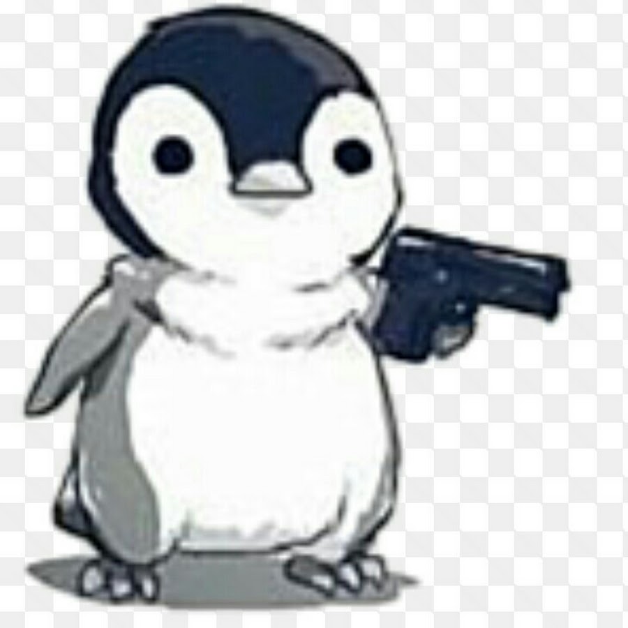 Fg0kvl1bdjuu4m