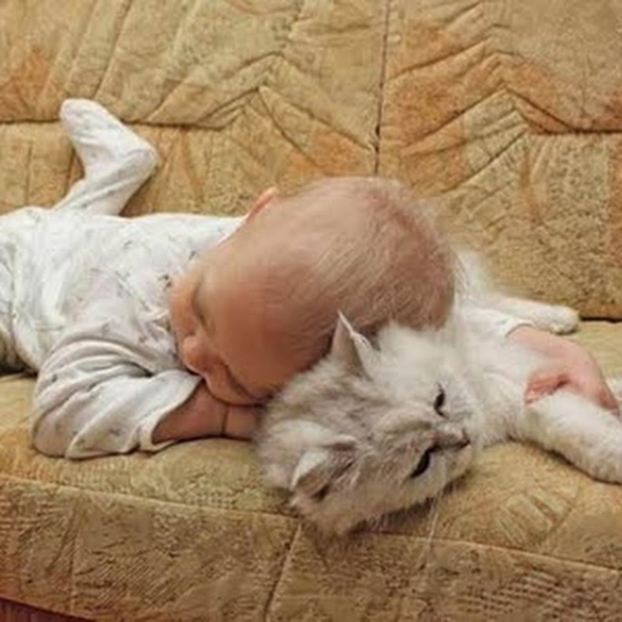 Мотиватор сладких снов