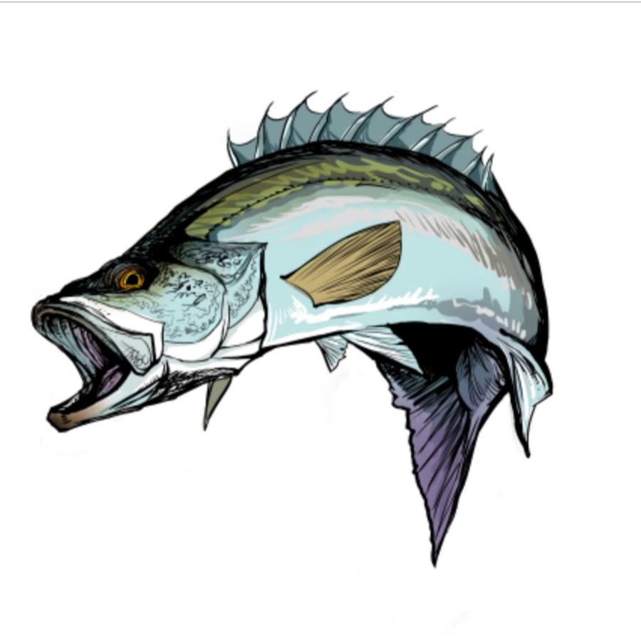 釣りボウズtv Youtube