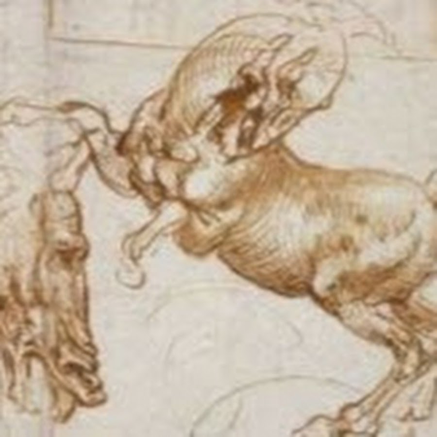 Голова медведя леонардо да винчи. Да винчи животные. Животные леонардо да винчи кошки. Наброски леонардо давинчи. Да винчи животные.