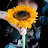 Diana Marie Alegre Avatar