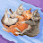 갓냥이