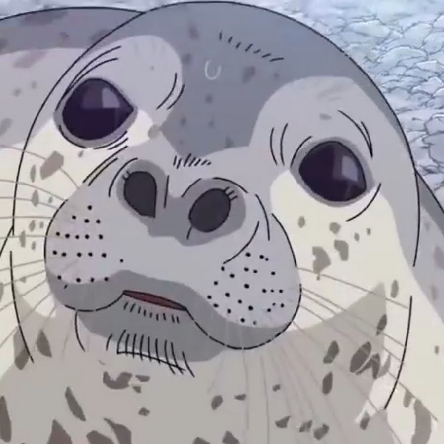 アルフレドゴンザレス Youtube