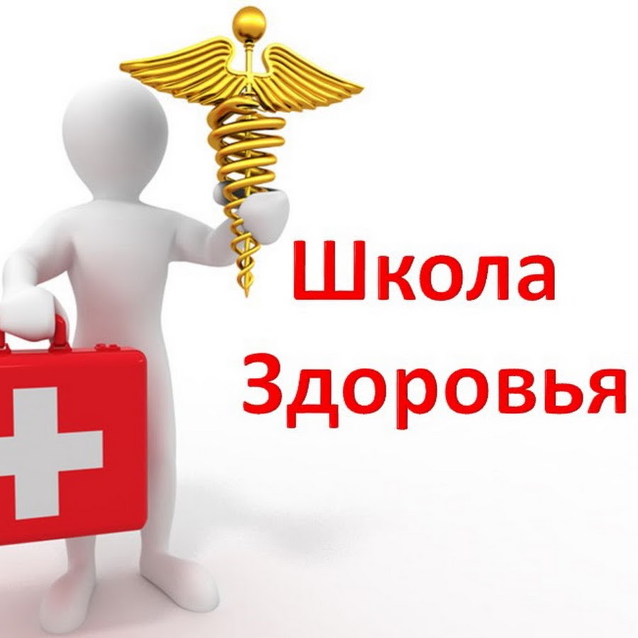 принципы организации работы школ здоровья. школа здоровья. школа здоровья. условия необходимые для организации школ здоровья. школа здоровья.