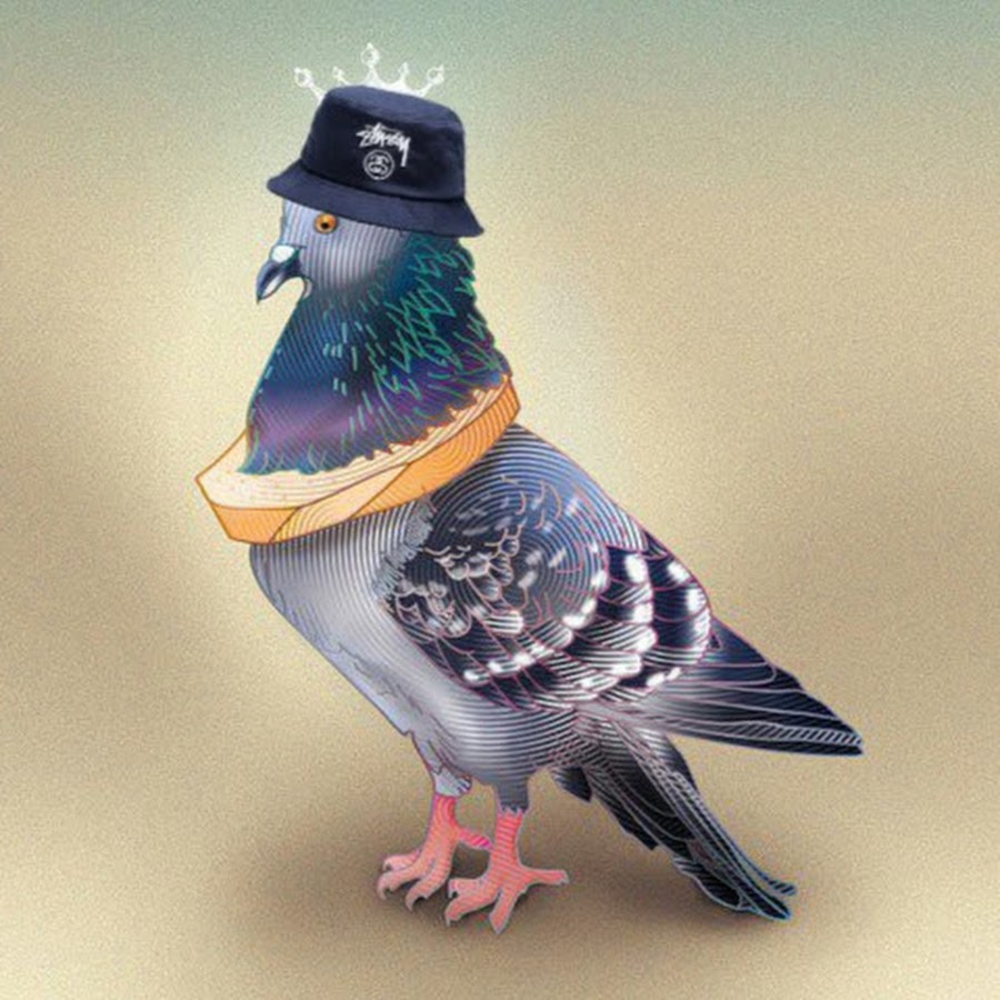 Картинка голубя в очках