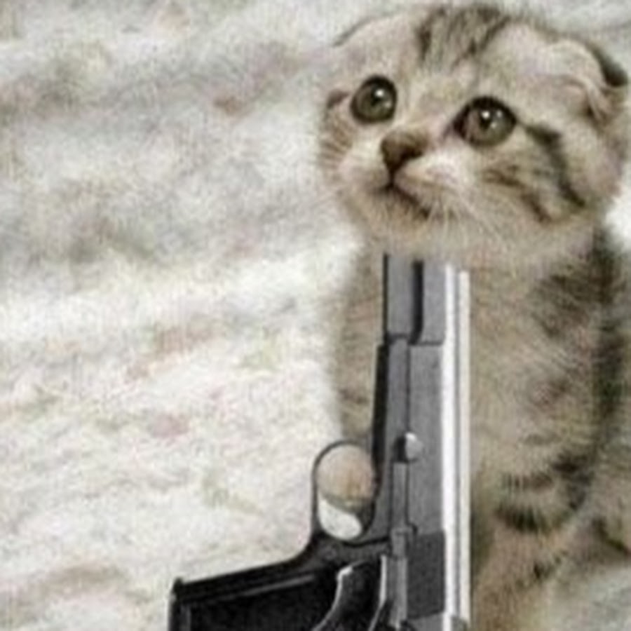 Москва дубай милый не скучай. Кот с пистолетом. Кот с пистолетом Мем.