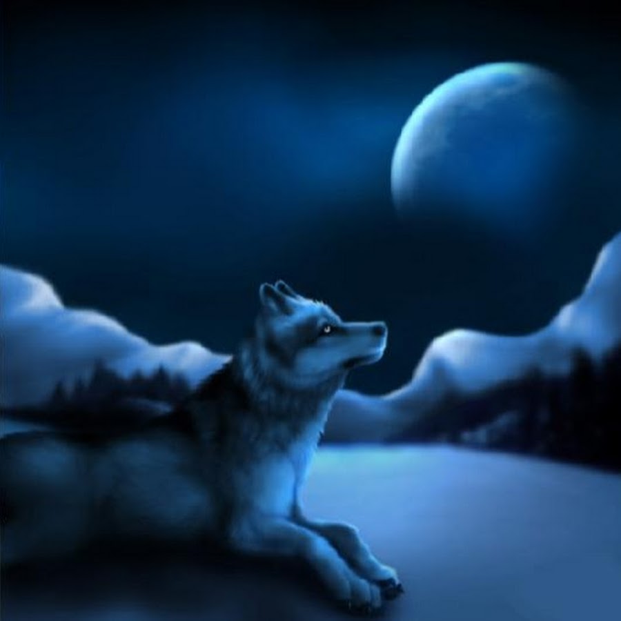Ночь волков читать. Спокойной ночи волк. Волк в ночи. Волк воет на луну. Доброй ночи волк.