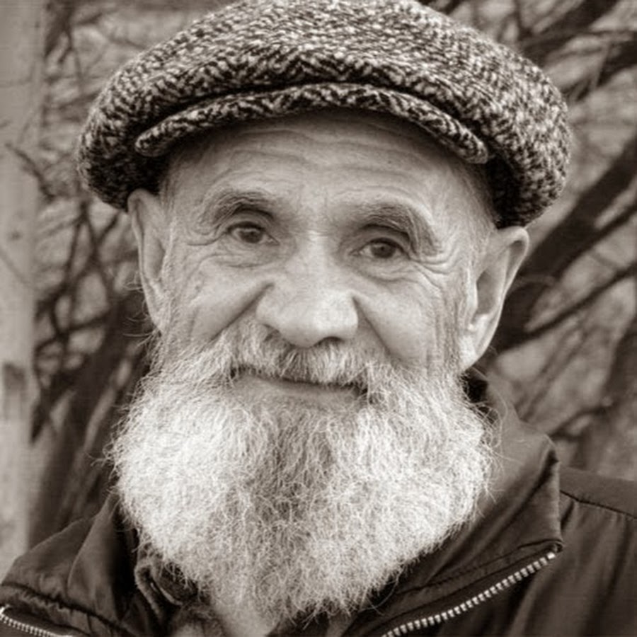 Как выглядит дед пихто картинки