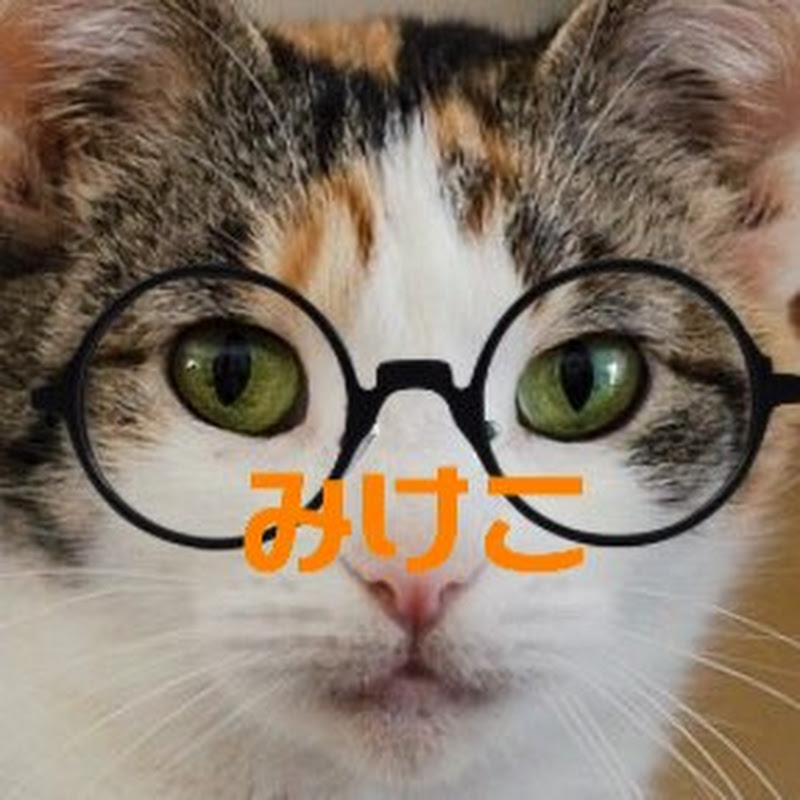 みけこちゃんねる - 網紅的藏寶箱 