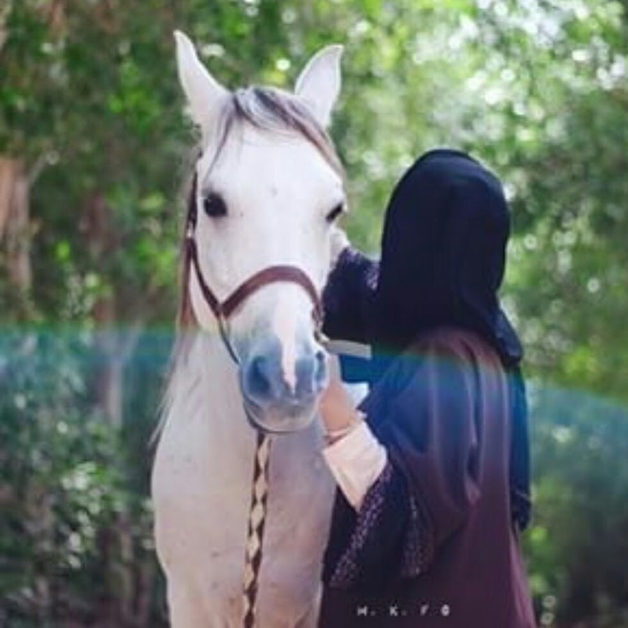 Мусульманский сонник лошадь. Девушка мусульманка с лошадью. Девушка в хиджабе на лошади. Лоснящаяся лошадь. Сонник к чему снится лошадь.