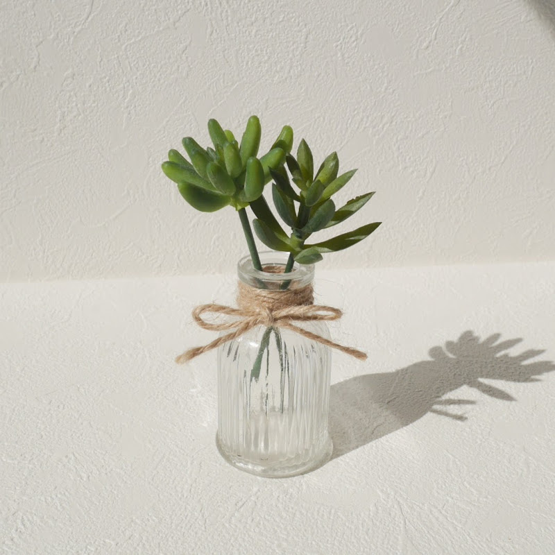 お家へ帰ろう - 網紅的藏寶箱 