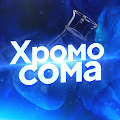 «Хромосома»