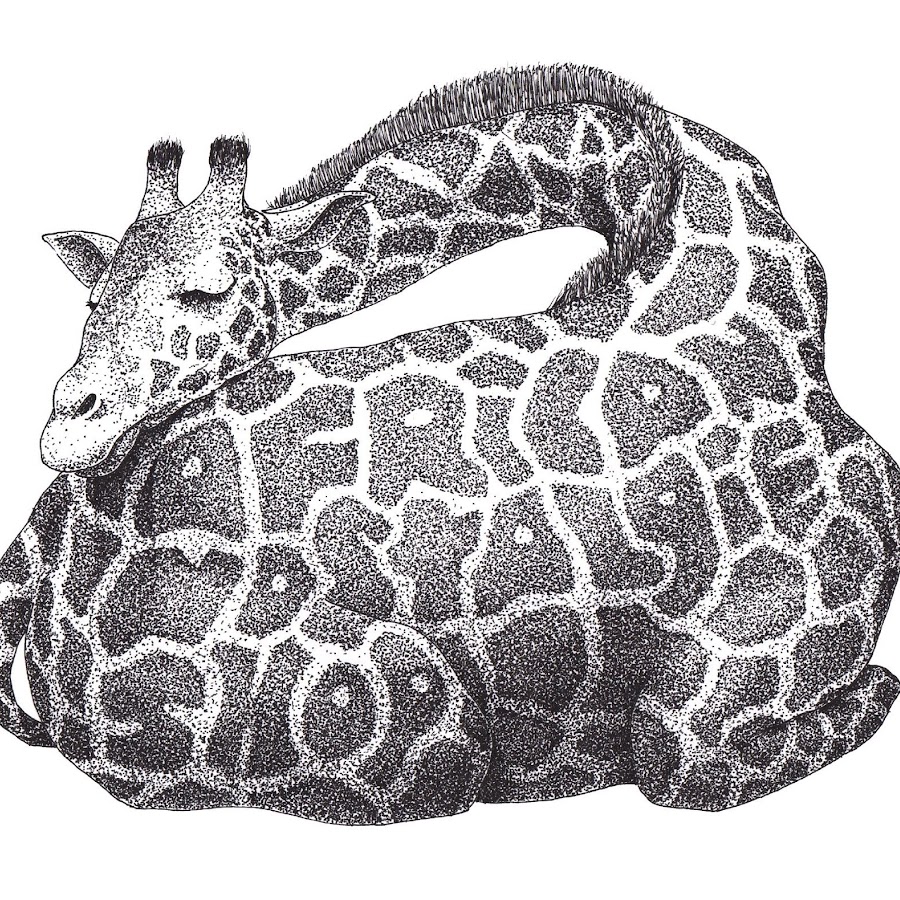 高橋幸大 Youtube