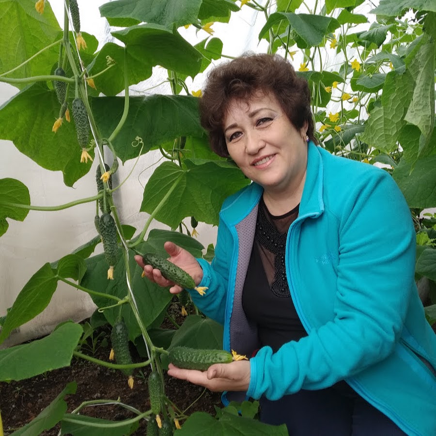 Огород 38 интернет магазин. Огород 38 иркутск. Напольная 71 иркутск. Весеннее обострение осторожно. Огород 38 иркутск.