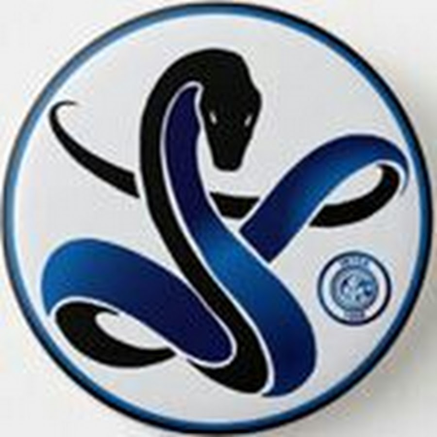 Команда змейка. Логотип змеи. Эмблема футбольного клуба со змеей. Интер эмблема клуба. Эмблема Интера со змеей.