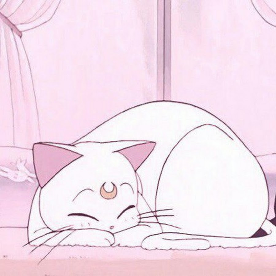 Котики эстетика рисунки