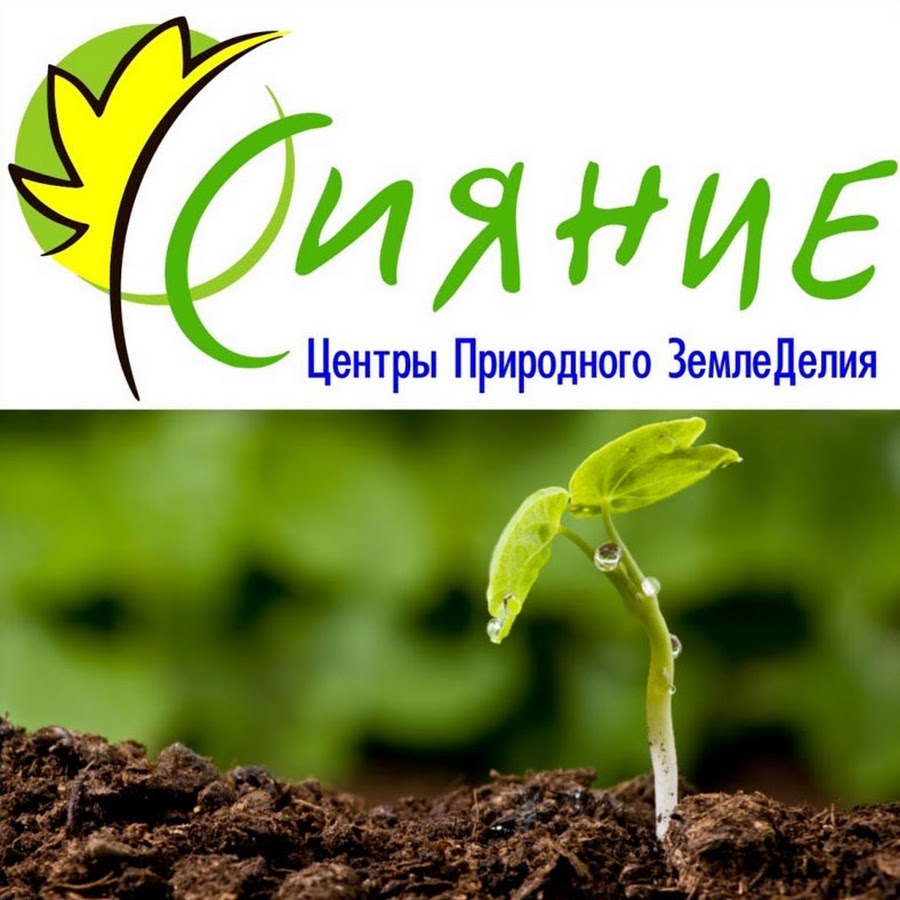 Интернет Магазин Сияние 1
